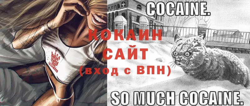 Cocaine 97%  сколько стоит  ОМГ ОМГ как войти  Тверь 